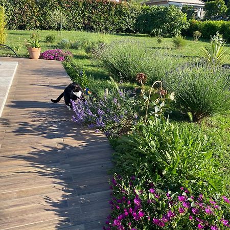 La Rosela De La Cite Bed & Breakfast Palaja Dış mekan fotoğraf