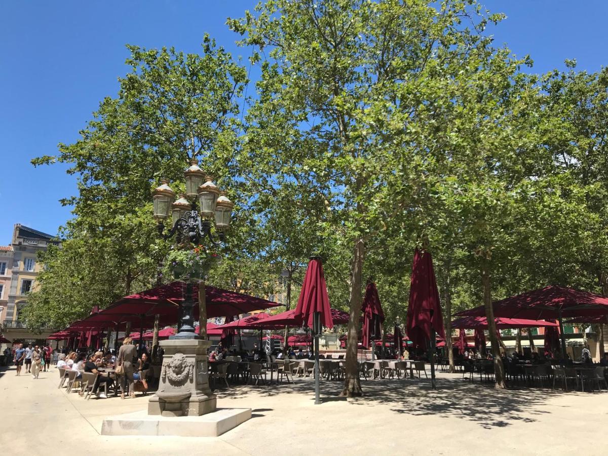 La Rosela De La Cite Bed & Breakfast Palaja Dış mekan fotoğraf