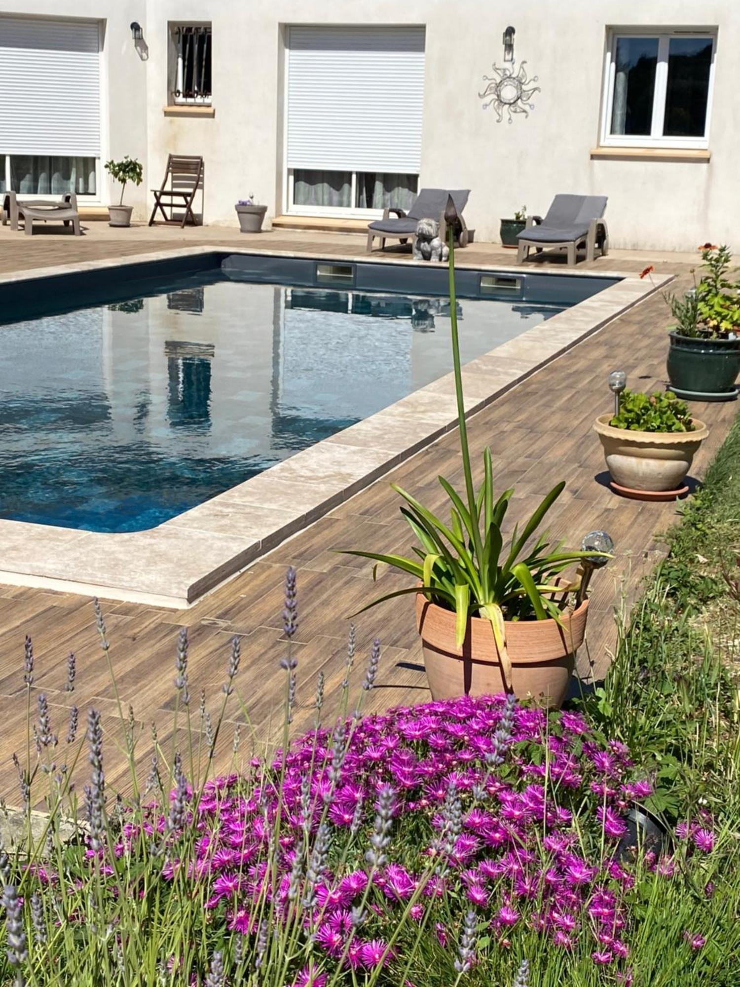 La Rosela De La Cite Bed & Breakfast Palaja Dış mekan fotoğraf