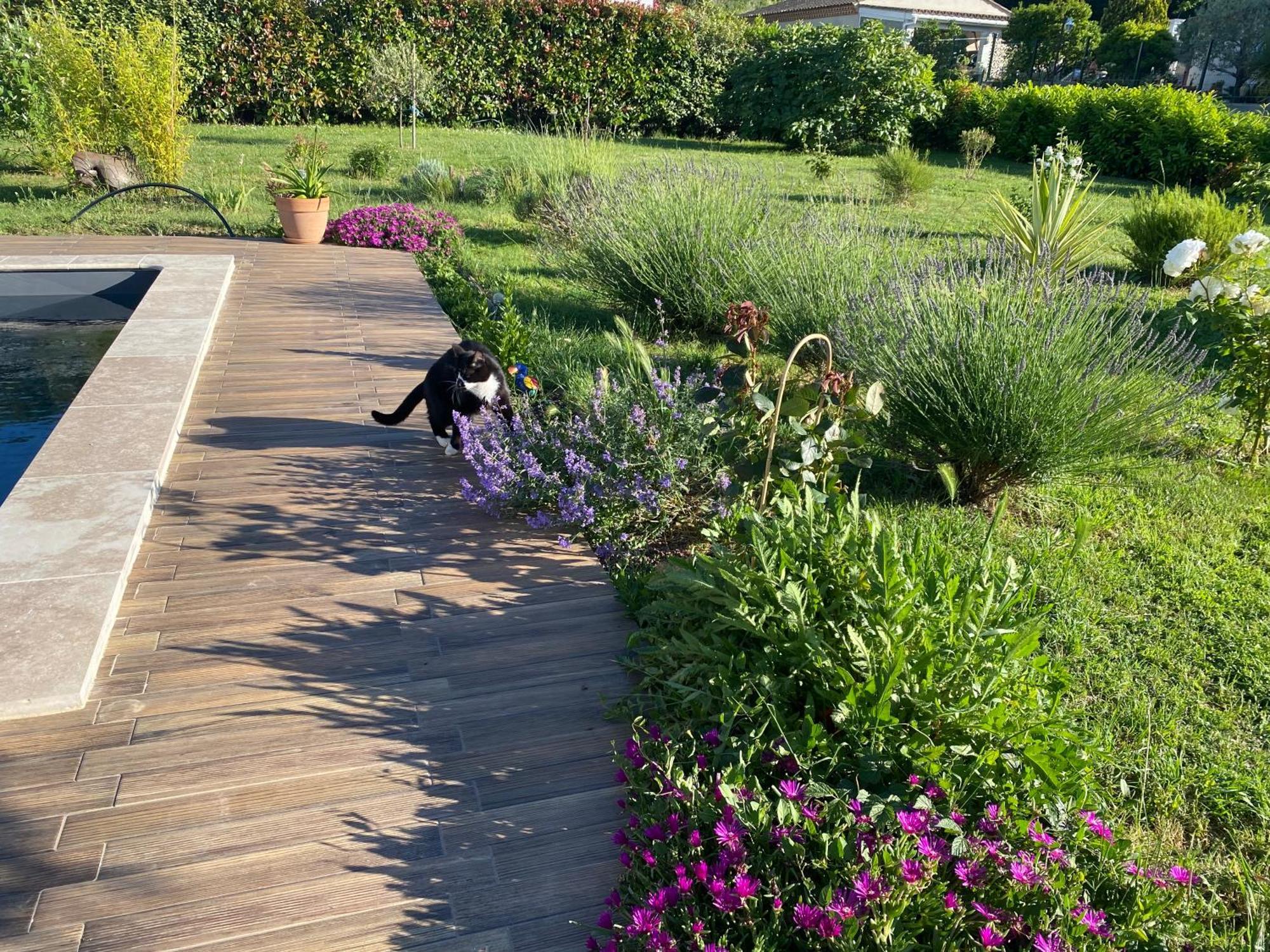 La Rosela De La Cite Bed & Breakfast Palaja Dış mekan fotoğraf